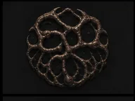 Bioform Collective insignia